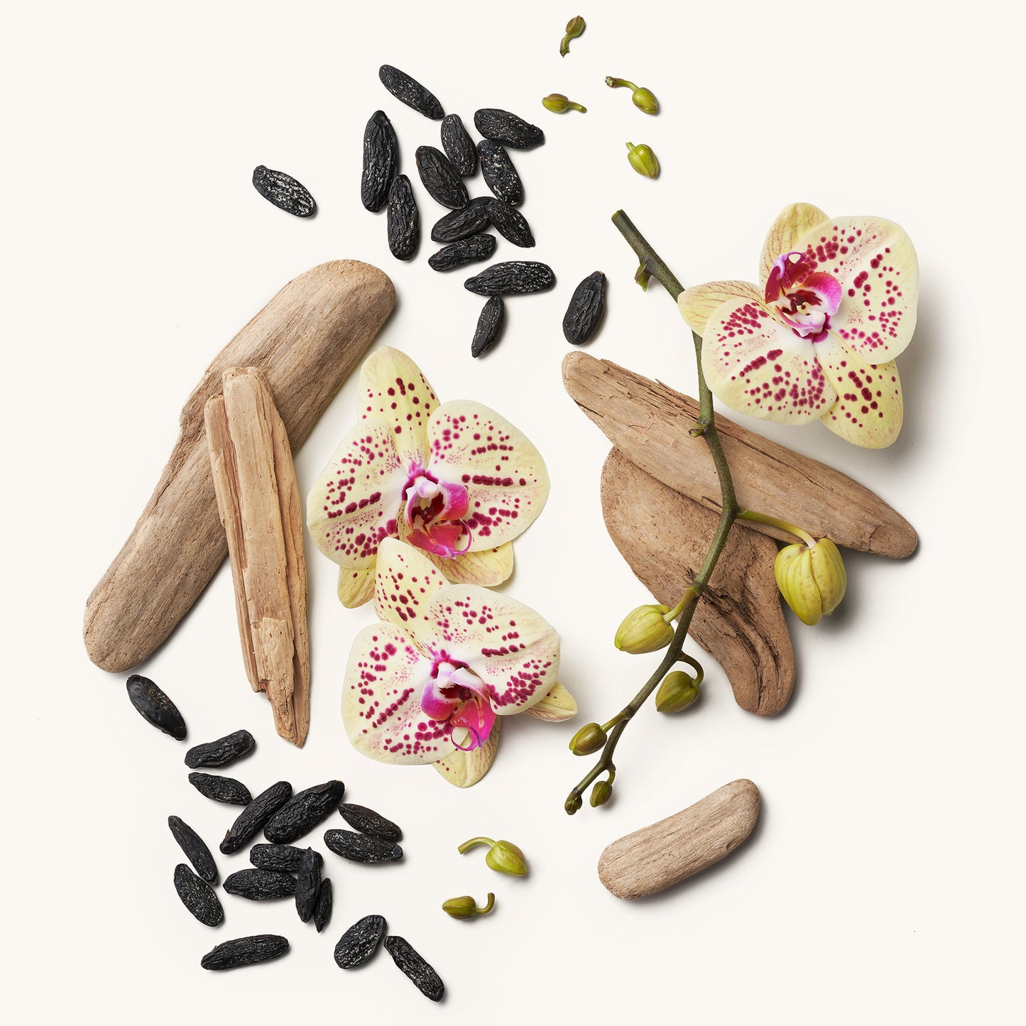 Smoky Mountain Holiday Set