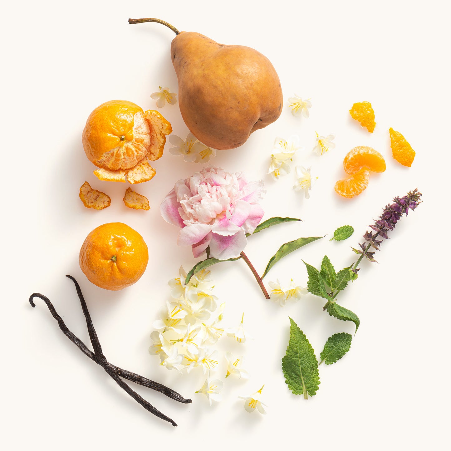 Scent From Above Holiday Set